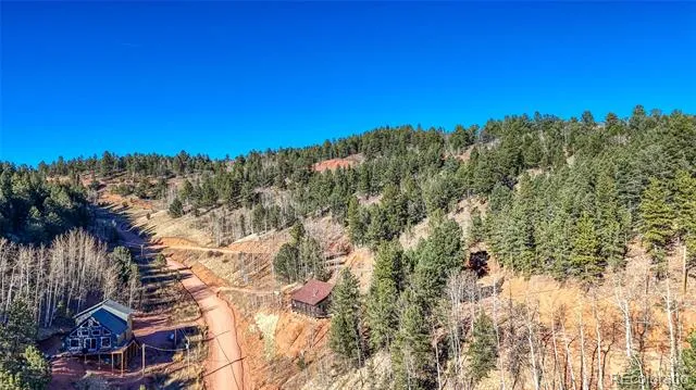 80 Beaver Pond Road Divide, CO 80814