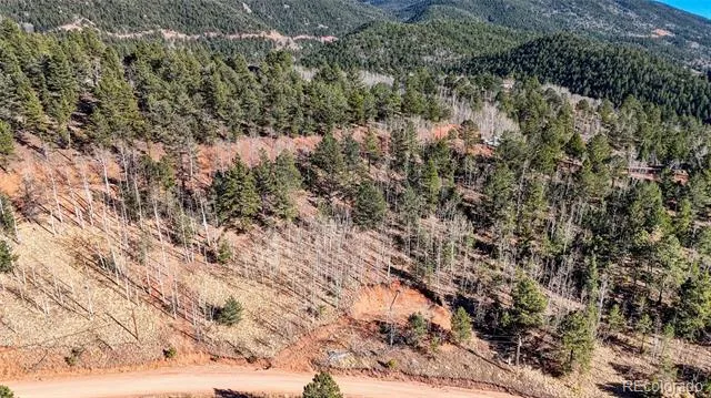80 Beaver Pond Road Divide, CO 80814