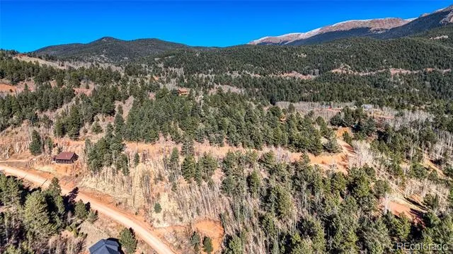 80 Beaver Pond Road Divide, CO 80814