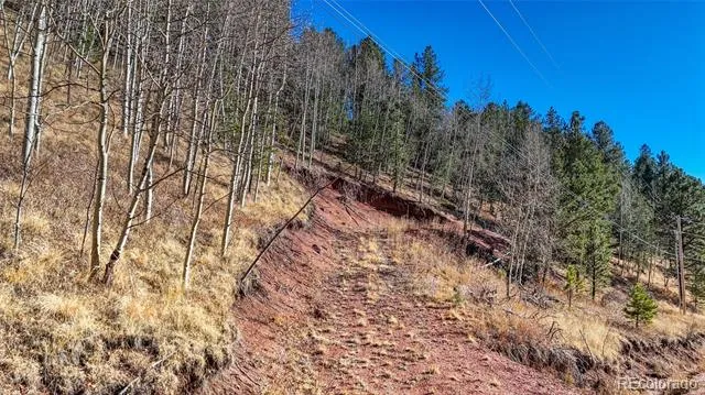 80 Beaver Pond Road Divide, CO 80814