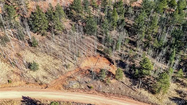 80 Beaver Pond Road Divide, CO 80814