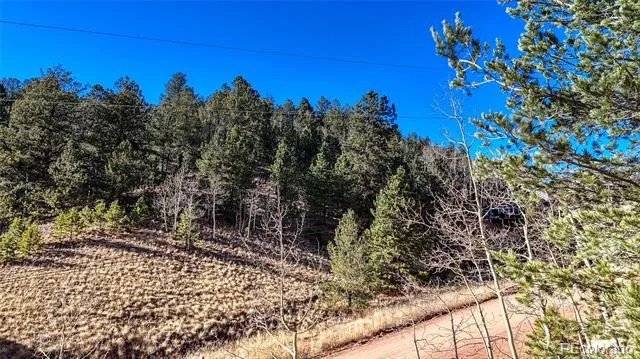 80 Beaver Pond Road Divide, CO 80814