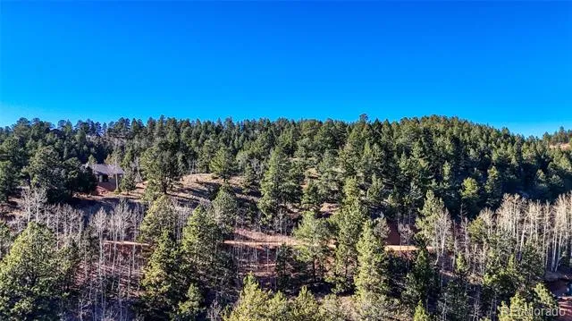 80 Beaver Pond Road Divide, CO 80814