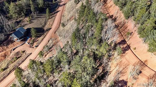 80 Beaver Pond Road Divide, CO 80814