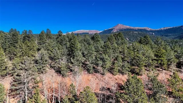 80 Beaver Pond Road Divide, CO 80814