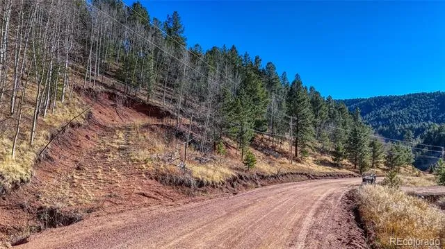 80 Beaver Pond Road Divide, CO 80814