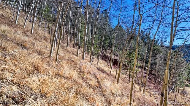 80 Beaver Pond Road Divide, CO 80814