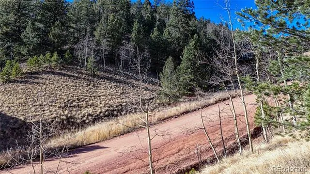80 Beaver Pond Road Divide, CO 80814