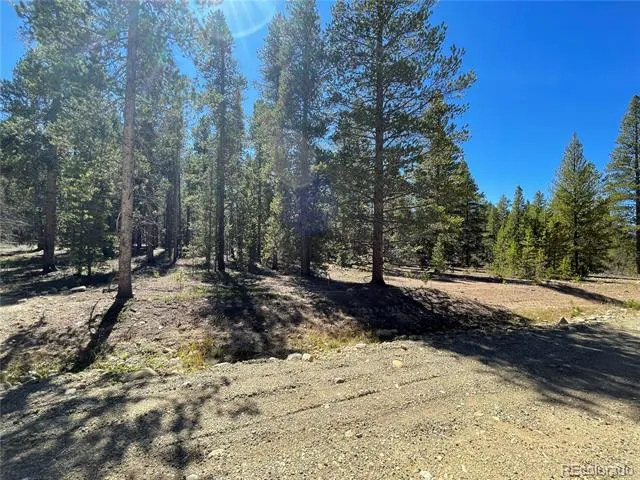 251 Virginia Avenue Leadville, CO 80461