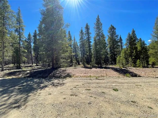 251 Virginia Avenue Leadville, CO 80461