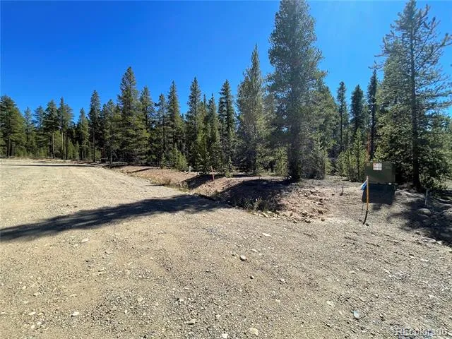 251 Virginia Avenue Leadville, CO 80461