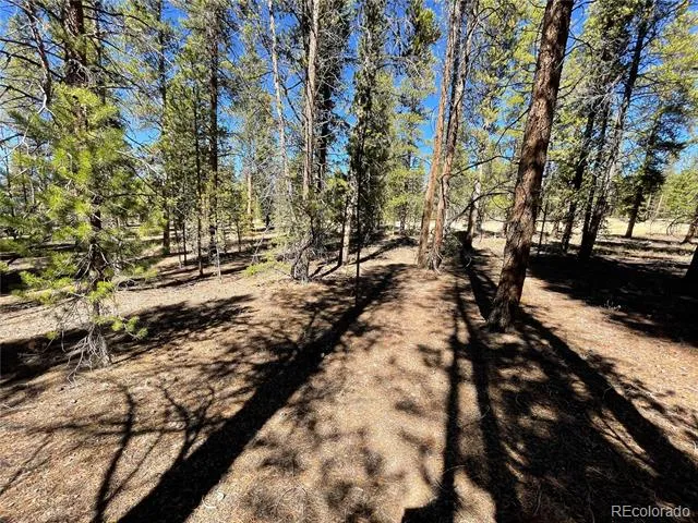 251 Virginia Avenue Leadville, CO 80461