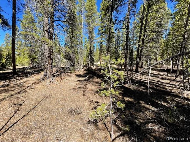 251 Virginia Avenue Leadville, CO 80461