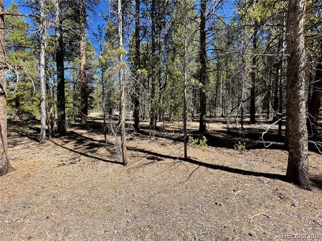 251 Virginia Avenue Leadville, CO 80461