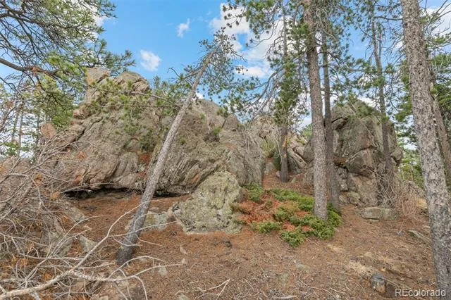 10157 Horizon View Drive Morrison, CO 80465