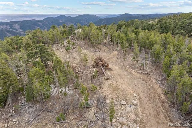10157 Horizon View Drive Morrison, CO 80465