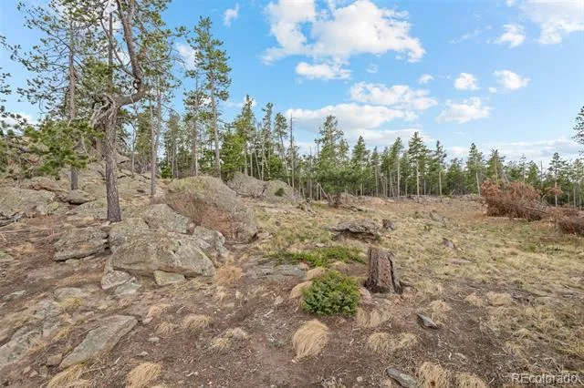 10157 Horizon View Drive Morrison, CO 80465
