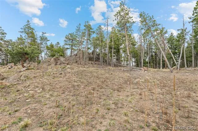 10157 Horizon View Drive Morrison, CO 80465