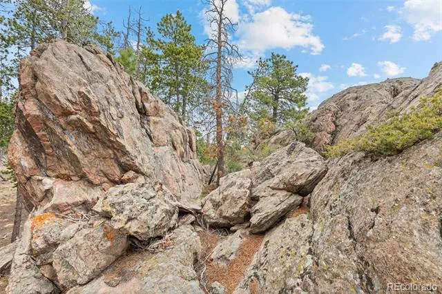10157 Horizon View Drive Morrison, CO 80465