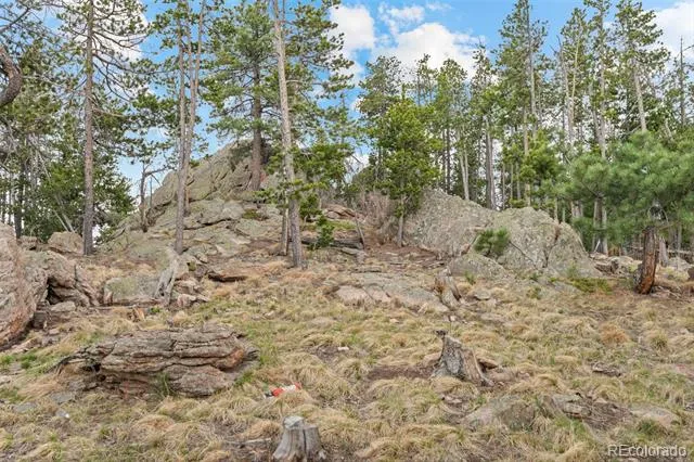 10157 Horizon View Drive Morrison, CO 80465