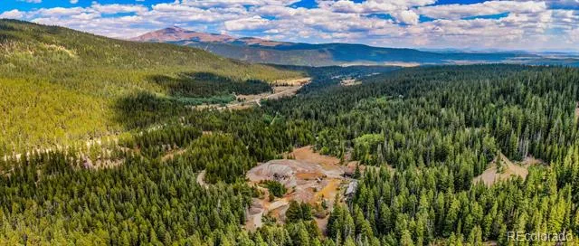 FS 192 Alma, CO 80420
