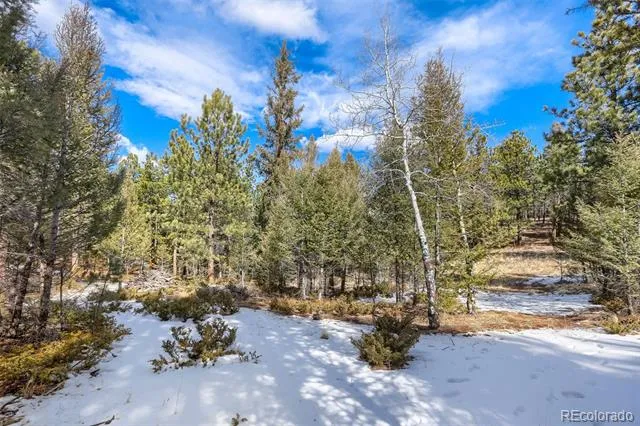 249 Territory Drive Pine, CO 80470
