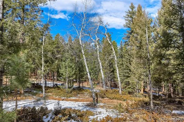 249 Territory Drive Pine, CO 80470