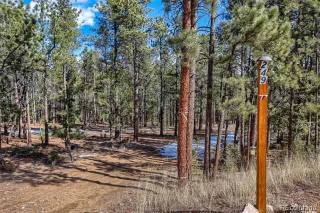 249 Territory Drive Pine, CO 80470