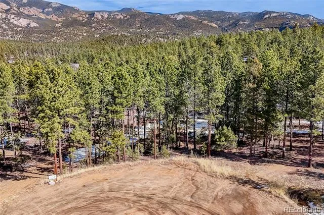 249 Territory Drive Pine, CO 80470