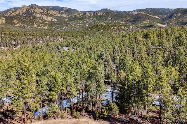 249 Territory Drive Pine, CO 80470