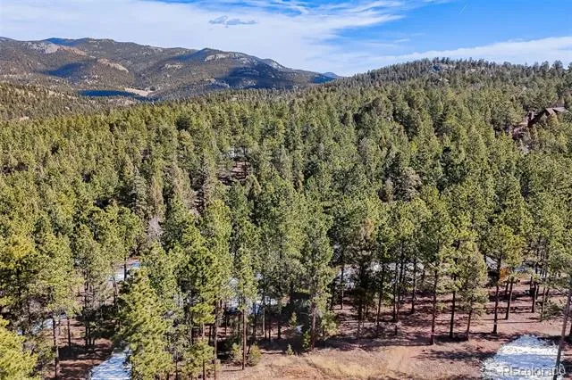 249 Territory Drive Pine, CO 80470