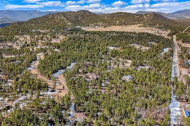 249 Territory Drive Pine, CO 80470