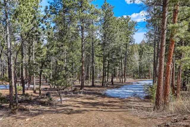 249 Territory Drive Pine, CO 80470