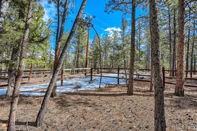 249 Territory Drive Pine, CO 80470