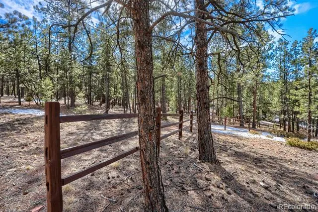 249 Territory Drive Pine, CO 80470