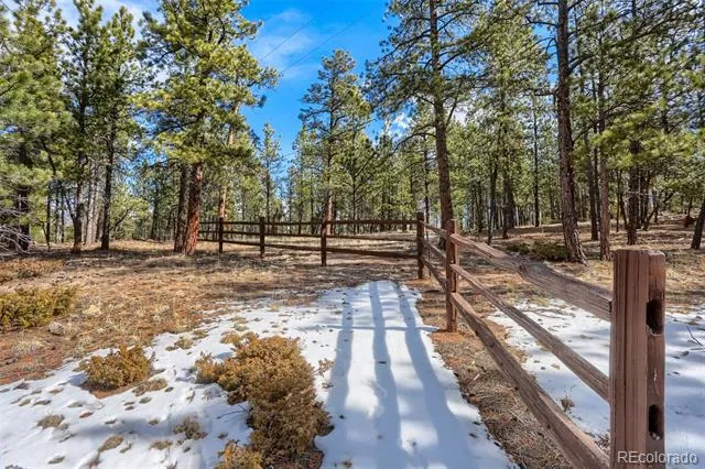 249 Territory Drive Pine, CO 80470