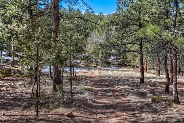 249 Territory Drive Pine, CO 80470
