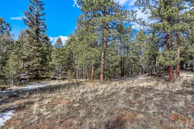 249 Territory Drive Pine, CO 80470