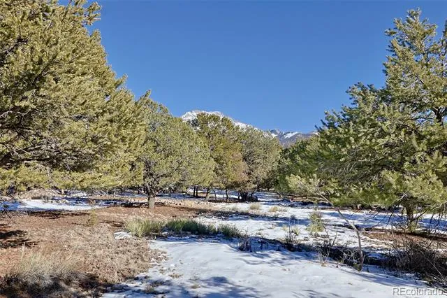 162 Moonlight Way Crestone, CO 81131