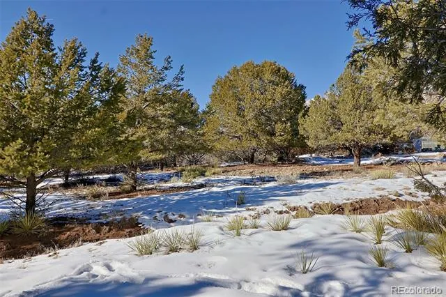 162 Moonlight Way Crestone, CO 81131