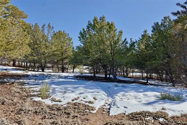162 Moonlight Way Crestone, CO 81131