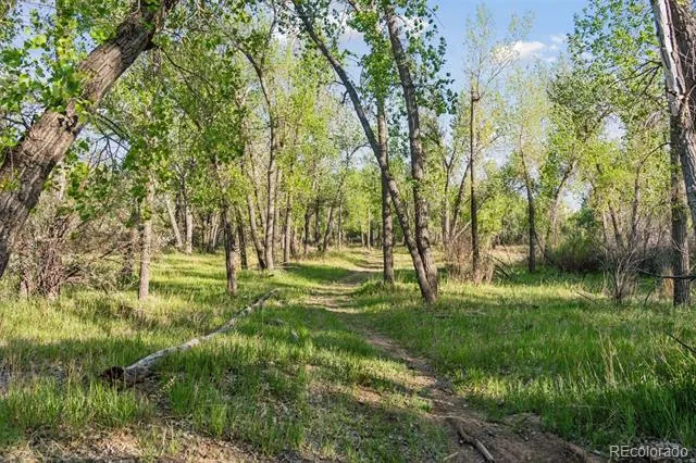 16990 Old Pueblo Road Fountain, CO 80817