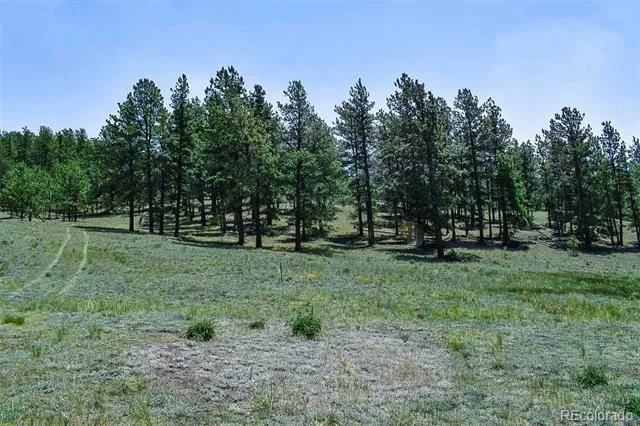 000 6th Street Guffey, CO 80820