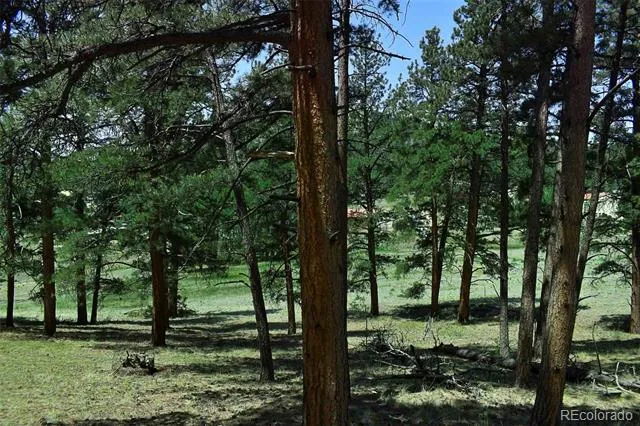 000 6th Street Guffey, CO 80820