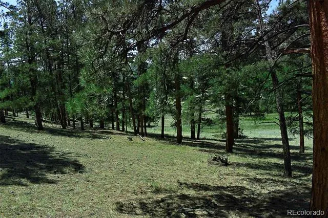 000 6th Street Guffey, CO 80820