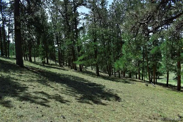 000 6th Street Guffey, CO 80820
