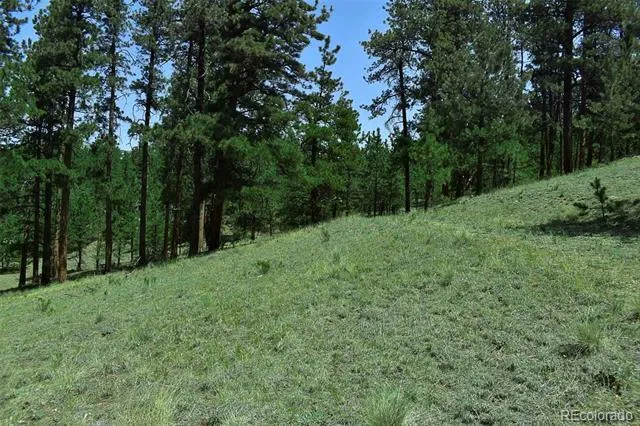 000 6th Street Guffey, CO 80820