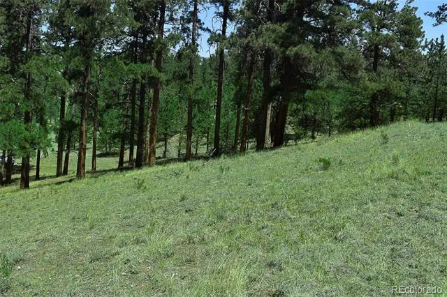 000 6th Street Guffey, CO 80820