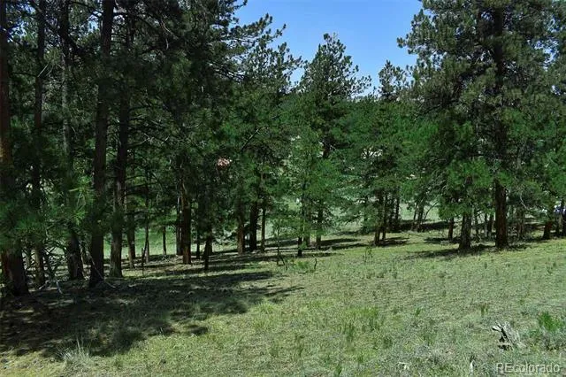 000 6th Street Guffey, CO 80820