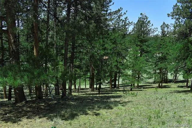 000 6th Street Guffey, CO 80820